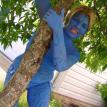 Avatar Design Airbrush Body Painting Philadelphia PA
