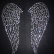 Angel Wings Rhinestone Shirt  Philadelphia PA